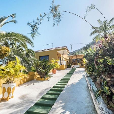 Finca Alejandrina La Guancha ภายนอก รูปภาพ