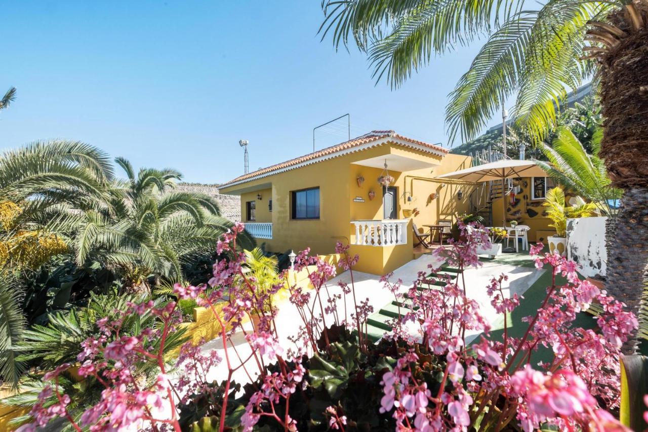 Finca Alejandrina La Guancha ภายนอก รูปภาพ